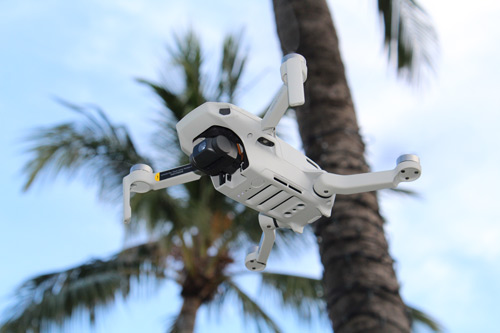 drone-with-palm-tree-background Drone flying with palm trees in background